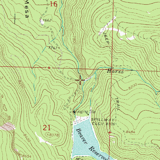 Topographic Map of Horse Creek, CO