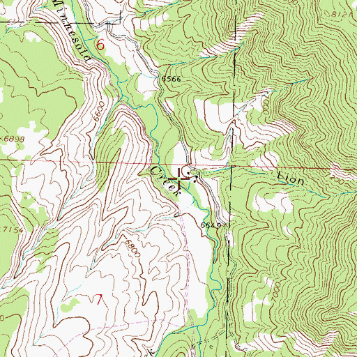 Topographic Map of Lion Gulch, CO