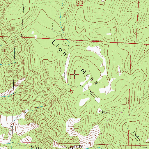 Topographic Map of Lion Mesa, CO