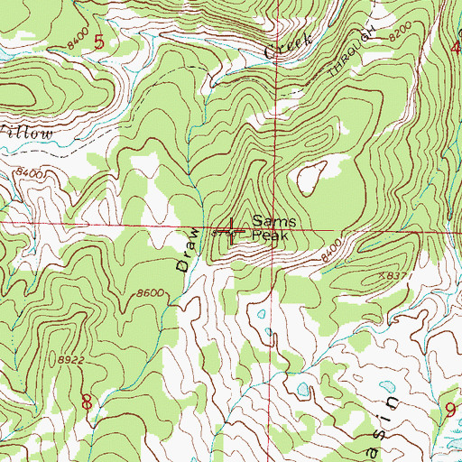 Topographic Map of Sams Peak, CO