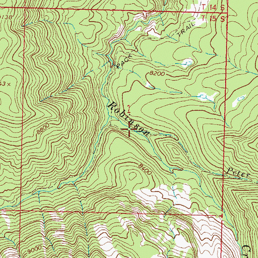 Topographic Map of Peter Creek, CO