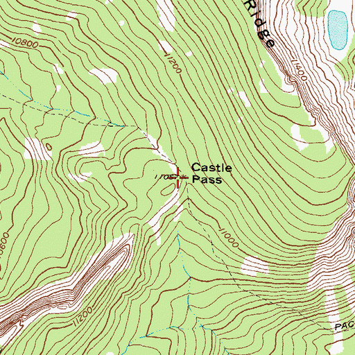 Topographic Map of Castle Pass, CO