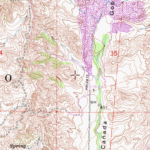 Topographic Map of Coto De Caza, CA