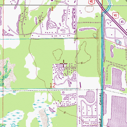 Topographic Map of Forest Island Park, FL