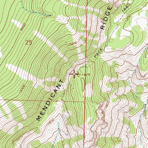 Topographic Map of Mendicant Ridge, CO
