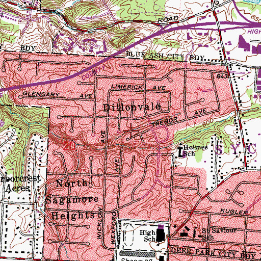 Topographic Map of Dillonvale, OH