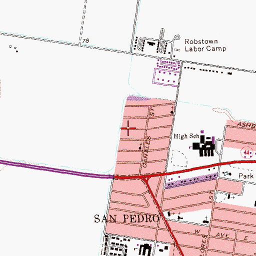Topographic Map of North San Pedro, TX