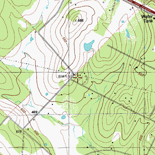 Topographic Map of Wyldwood, TX