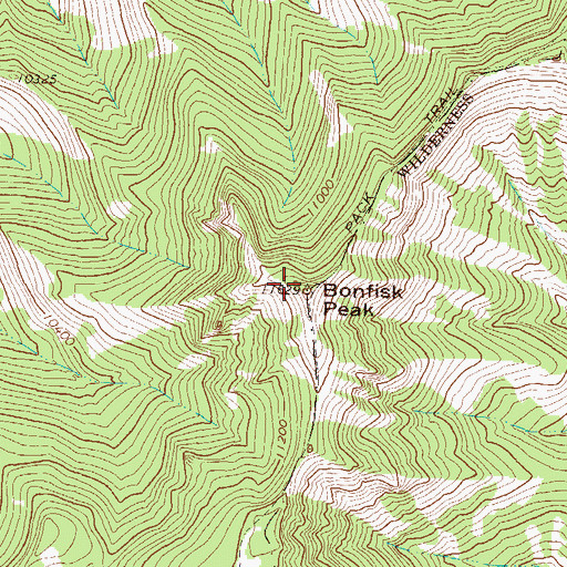 Topographic Map of Bonfisk Peak, CO