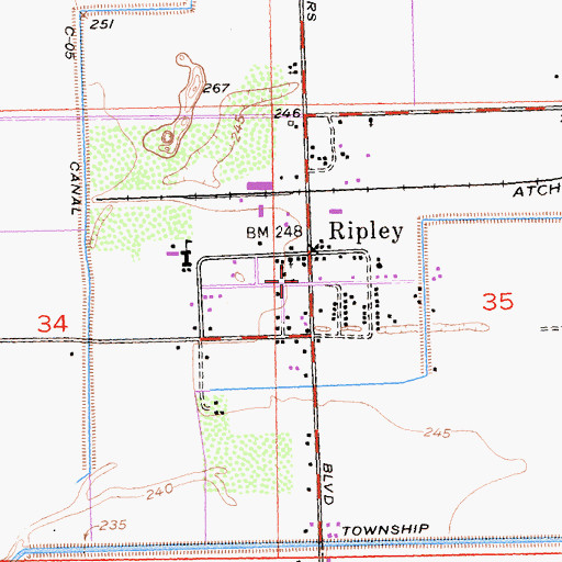 Topographic Map of Ripley Post Office, CA