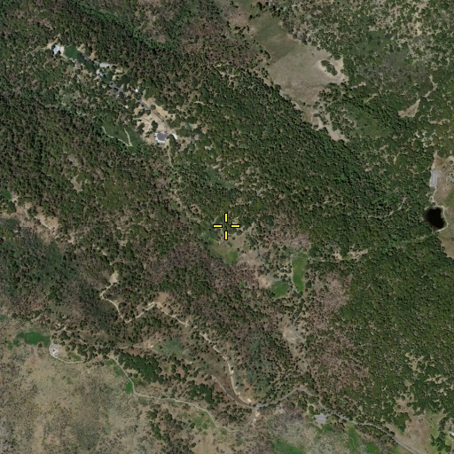 Aerial/Satellite Image of Cedar Grove Campground, CA