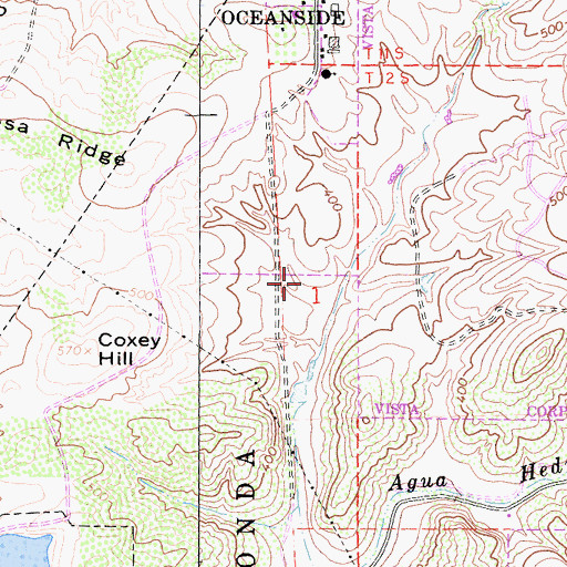 Topographic Map of Rancho Buena Vista High School, CA