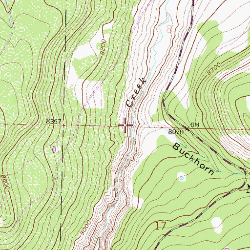 Topographic Map of Buckhorn Gulch, CO