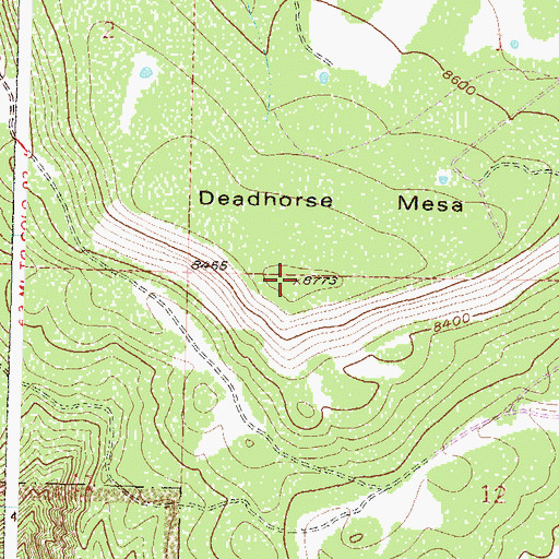 Topographic Map of Dead Horse Mesa, CO
