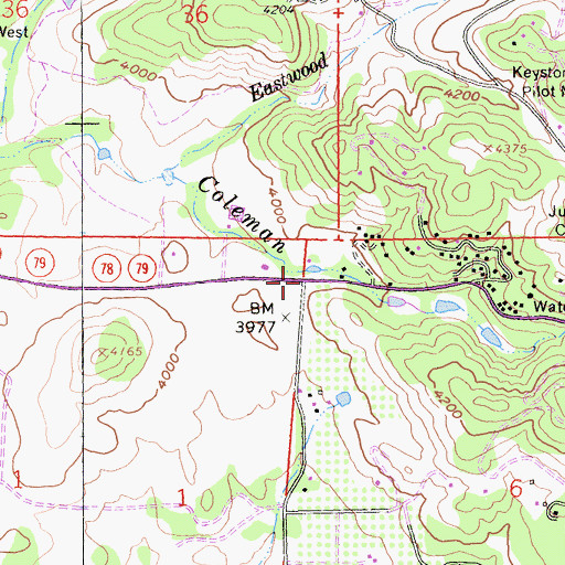 Topographic Map of Branson (historical), CA