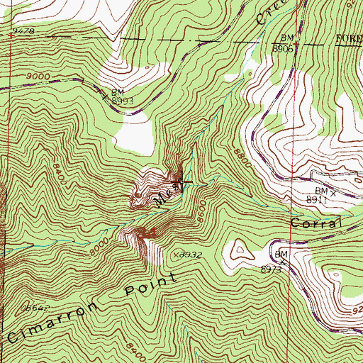 Topographic Map of Corral Gulch, CO