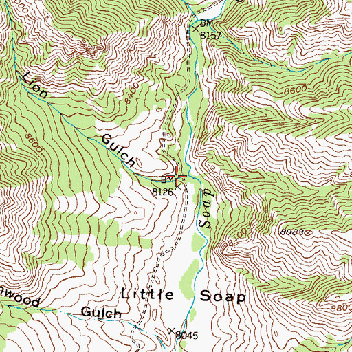 Topographic Map of Lion Gulch, CO