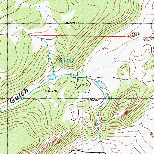Topographic Map of Porcupine Gulch, CO