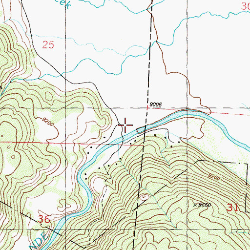 Topographic Map of Box Canyon, CO