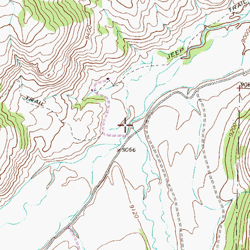 Topographic Map of Mineral Creek, CO