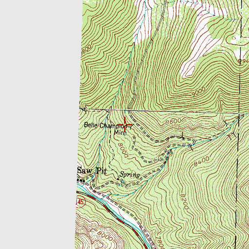 Topographic Map of Belle Champion Mine, CO