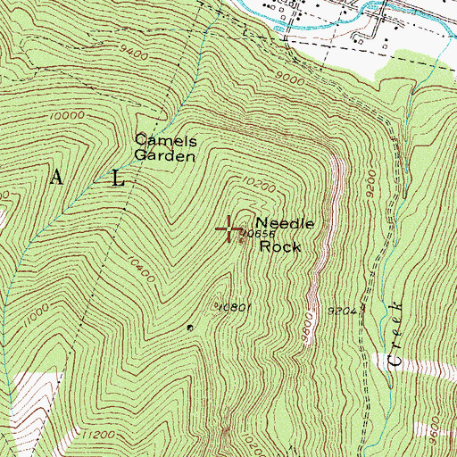 Topographic Map of Needle Rock, CO