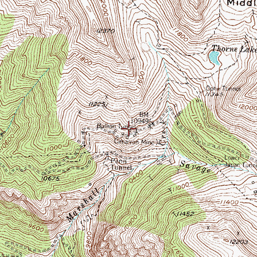 Topographic Map of Bullion Tunnel, CO