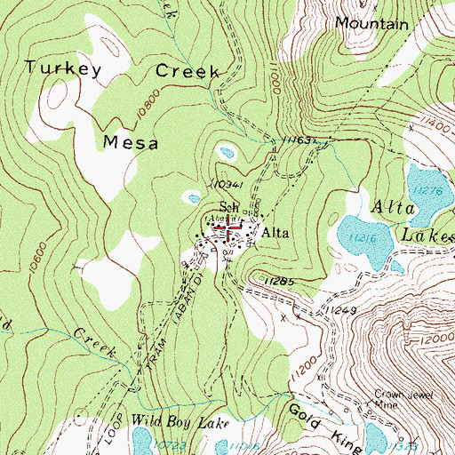 Topographic Map of Alta (historical), CO