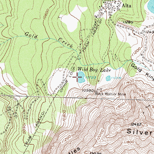 Topographic Map of Wild Boy Lake, CO