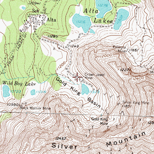 Topographic Map of Crown Jewel Mine, CO