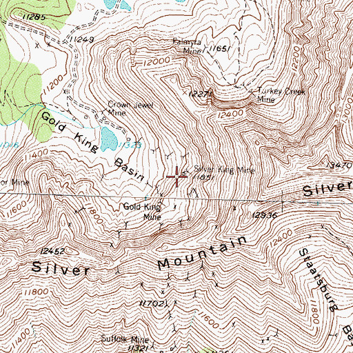 Topographic Map of Silver King Mine, CO