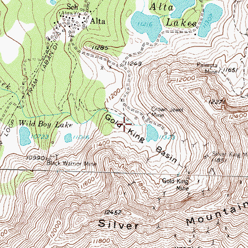 Topographic Map of Gold King Basin, CO
