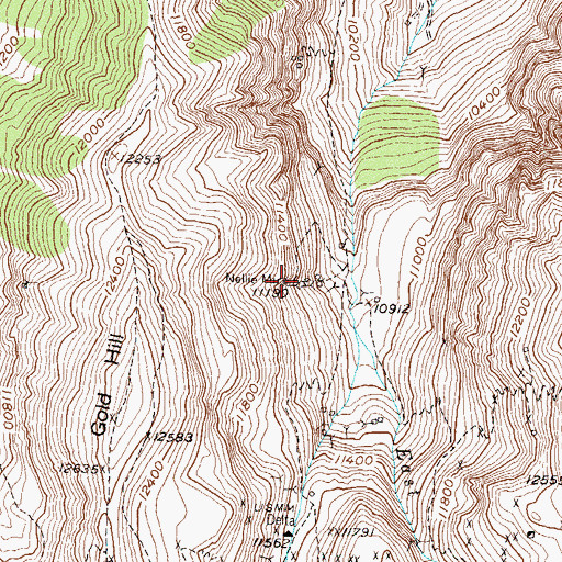 Topographic Map of Nellie Mine, CO
