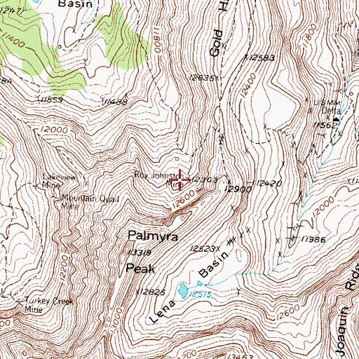 Topographic Map of Roy Johnston Mine, CO