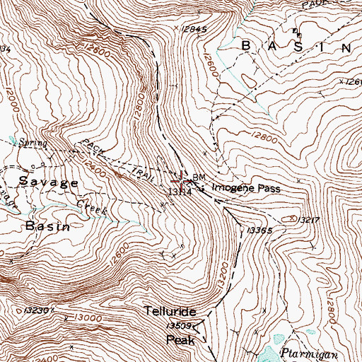 Topographic Map of Imogene Pass, CO