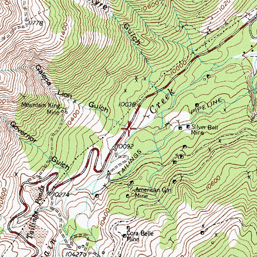 Topographic Map of Galena Lion Gulch, CO