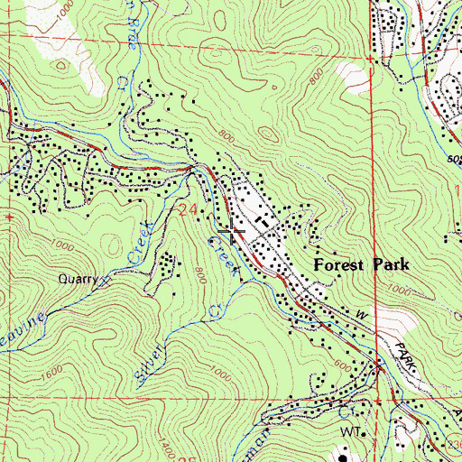 Topographic Map of Forest Swimming Pool, CA