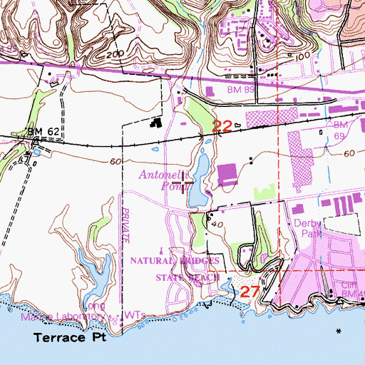 Topographic Map of Antonelli Pond, CA