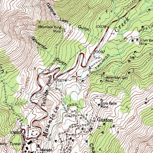 Topographic Map of Champion Gulch, CO