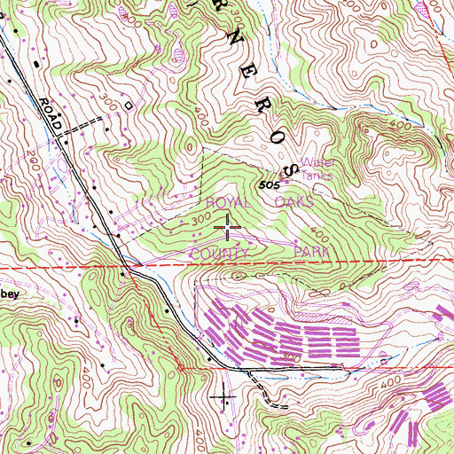 Topographic Map of Pine Grove Youth Camp, CA