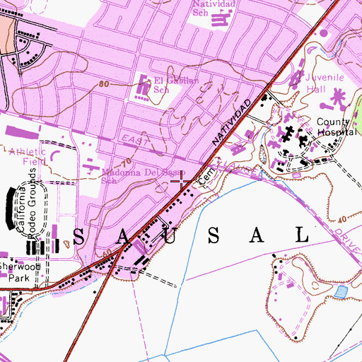 Topographic Map of Chinese Cemetery, CA