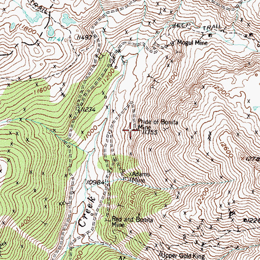Topographic Map of Pride of Bonita Mine, CO
