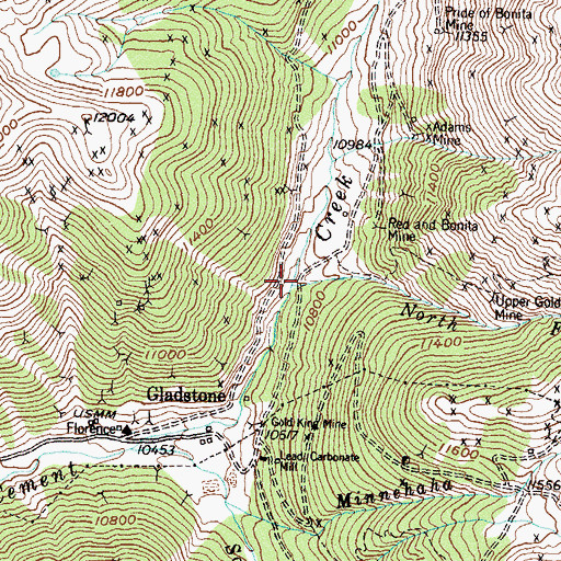 Topographic Map of North Fork Cement Creek, CO