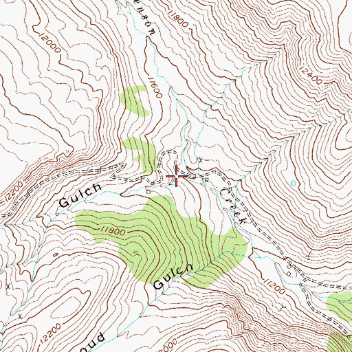 Topographic Map of Palmetto Gulch, CO