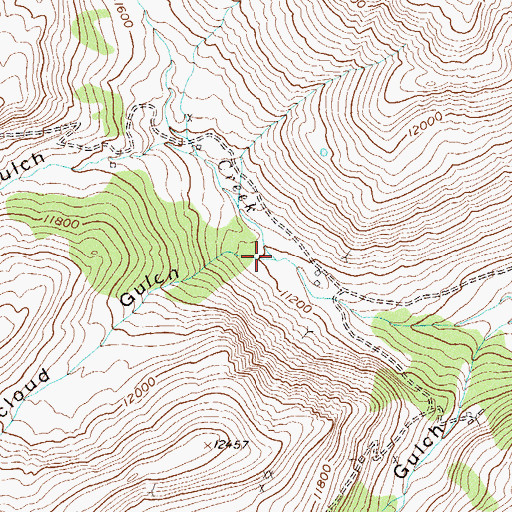 Topographic Map of Redcloud Gulch, CO