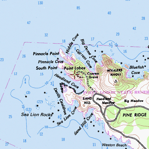 Topographic Map of Allan Memorial Grove, CA