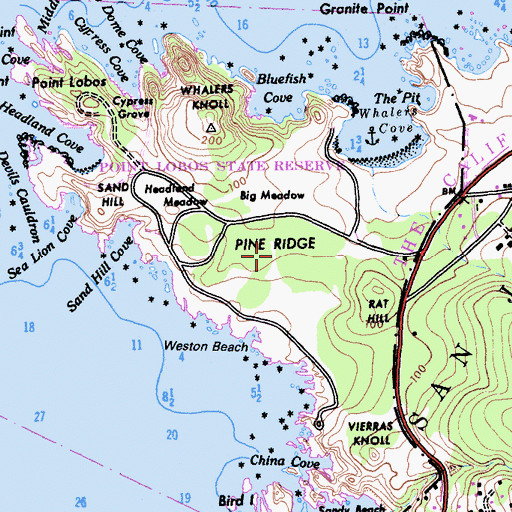 Topographic Map of Piney Woods, CA