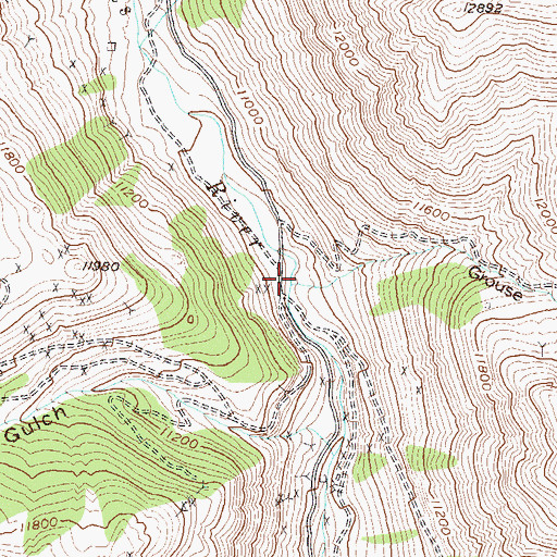 Topographic Map of Grouse Gulch, CO