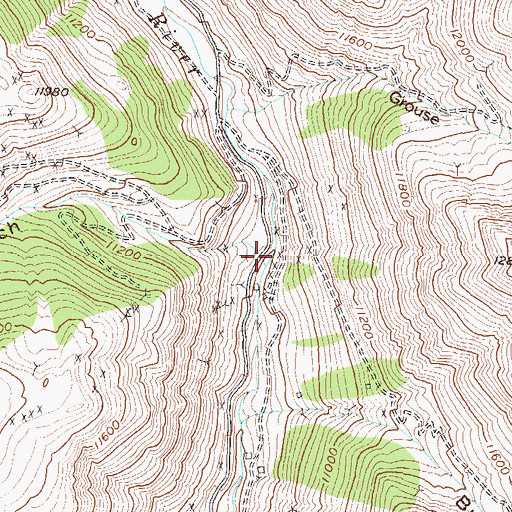 Topographic Map of Picayne Gulch, CO