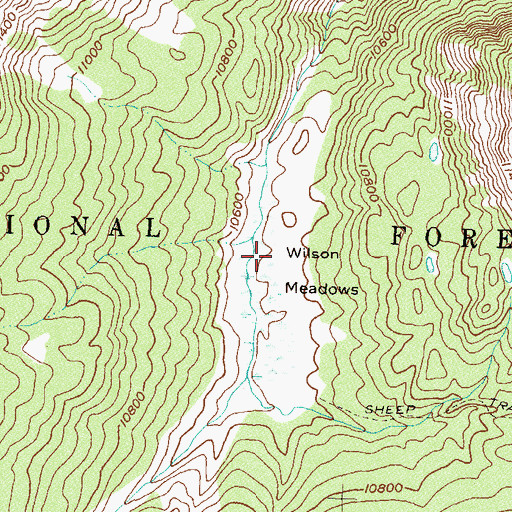 Topographic Map of Wilson Meadows, CO